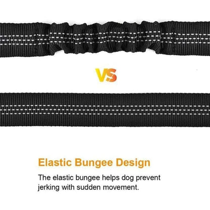 Durable Nylon Dog Seat Belt - Adjustable & Reflective.