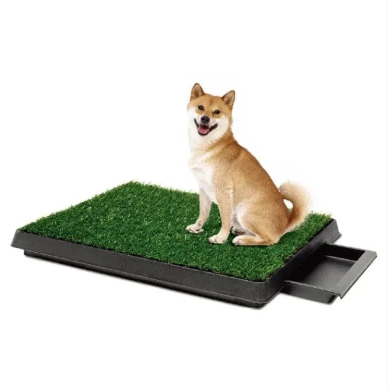 Flushing Pet Cat And Dog Supplies Lawn Toilet - Skippy Dogs