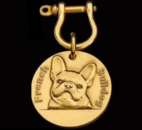 Gold Dog tag.