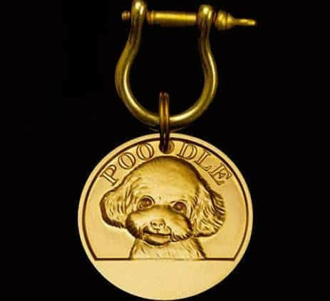 Gold Dog tag.