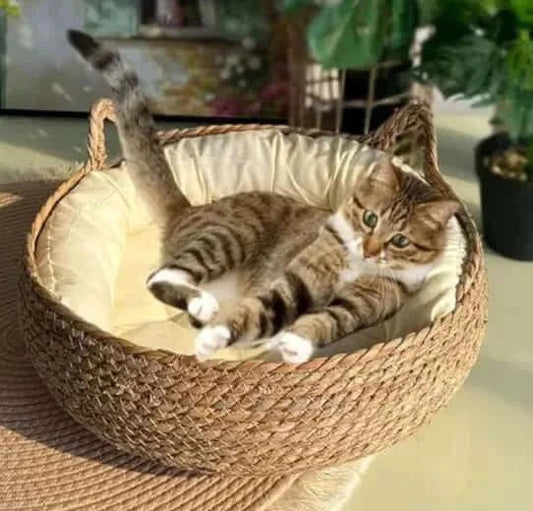 Handmade Pet House.
