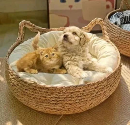 Handmade Pet House.