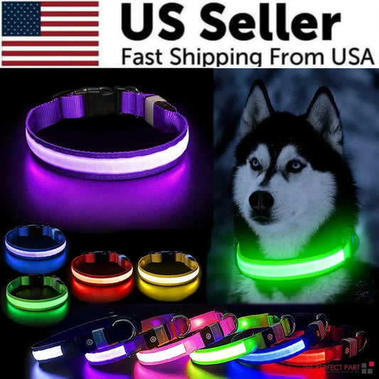 Adjustable LED Dog Collar Blinking Flashing Light Waterproof.