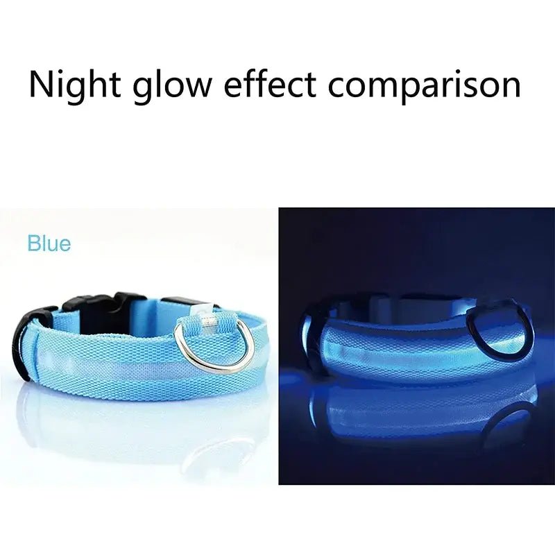 LED Adjustable Dog Collar Blinking Flashing Light Up Glow Pets Safety Waterproof - Skippy Dogs