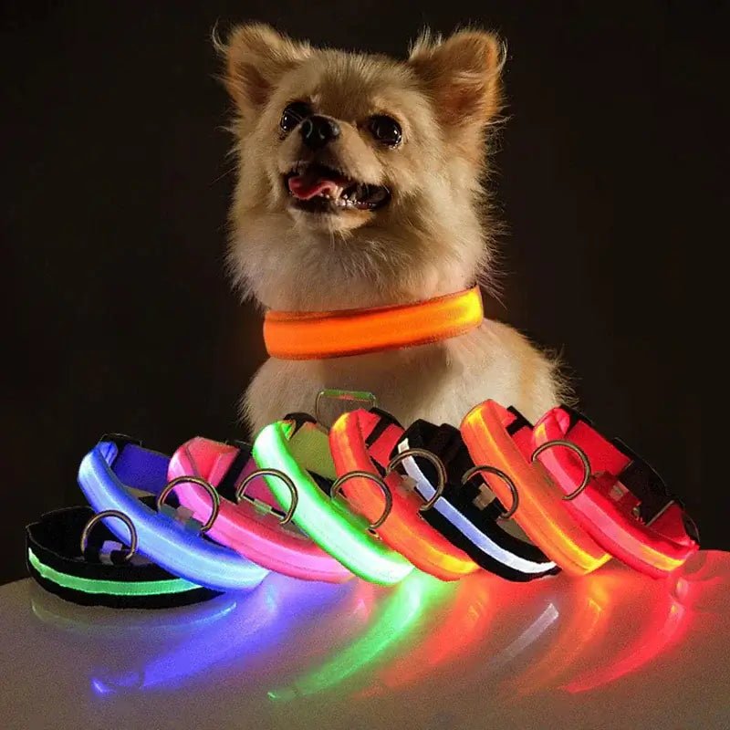 Adjustable LED Dog Collar Blinking Flashing Light Waterproof.