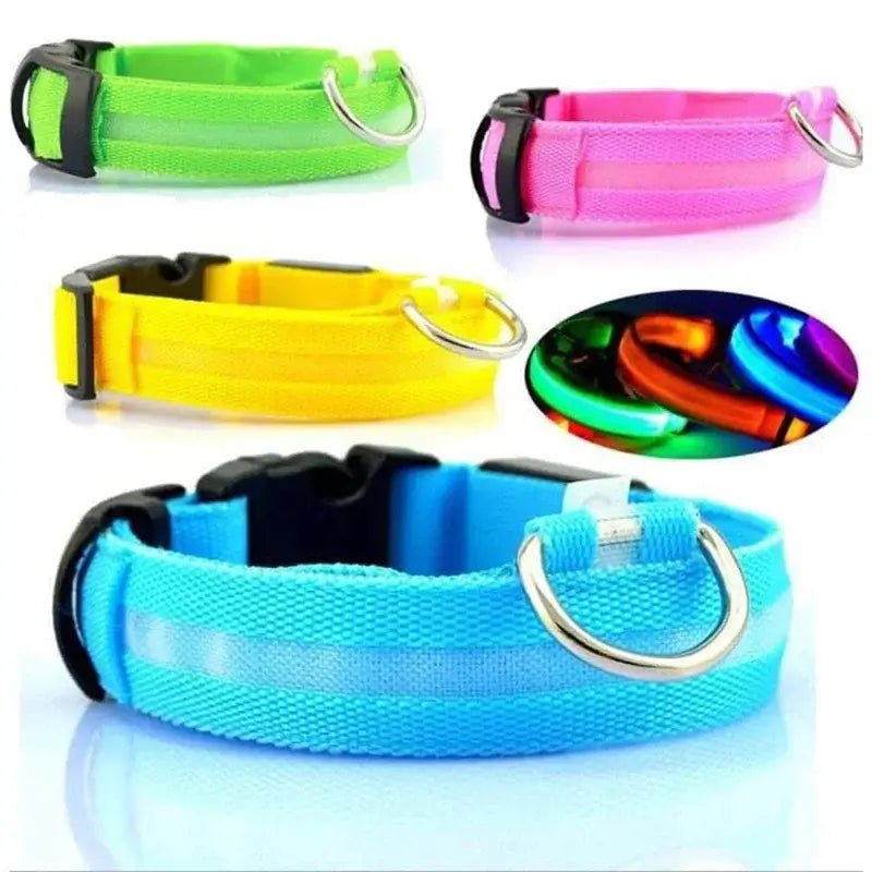 LED Adjustable Dog Collar Blinking Flashing Light Up Glow Pets Safety Waterproof - Skippy Dogs