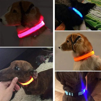 Adjustable LED Dog Collar Blinking Flashing Light Waterproof.
