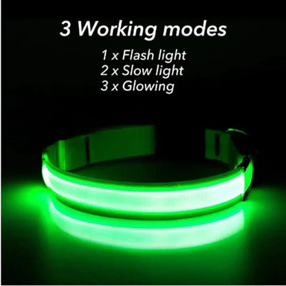 LED Adjustable Dog Collar Blinking Flashing Light Up Glow Pets Safety Waterproof - Skippy Dogs