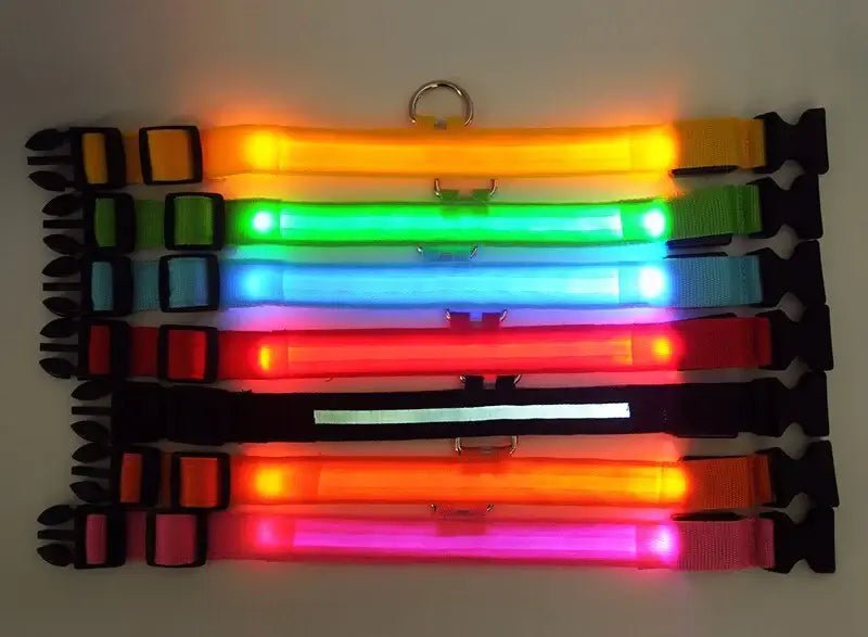 LED Adjustable Dog Collar Blinking Flashing Light Up Glow Pets Safety Waterproof - Skippy Dogs