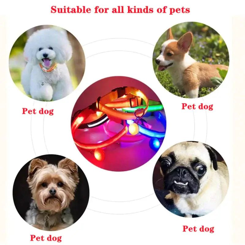 Adjustable LED Dog Collar Blinking Flashing Light Waterproof.