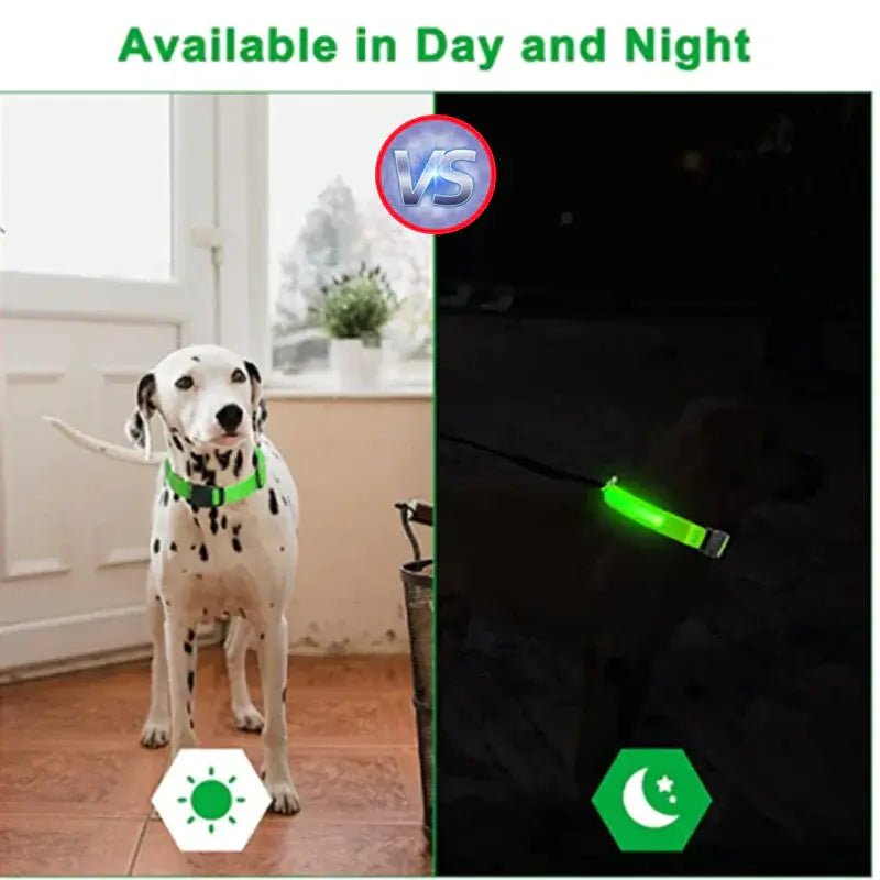 LED Adjustable Dog Collar Blinking Flashing Light Up Glow Pets Safety Waterproof - Skippy Dogs