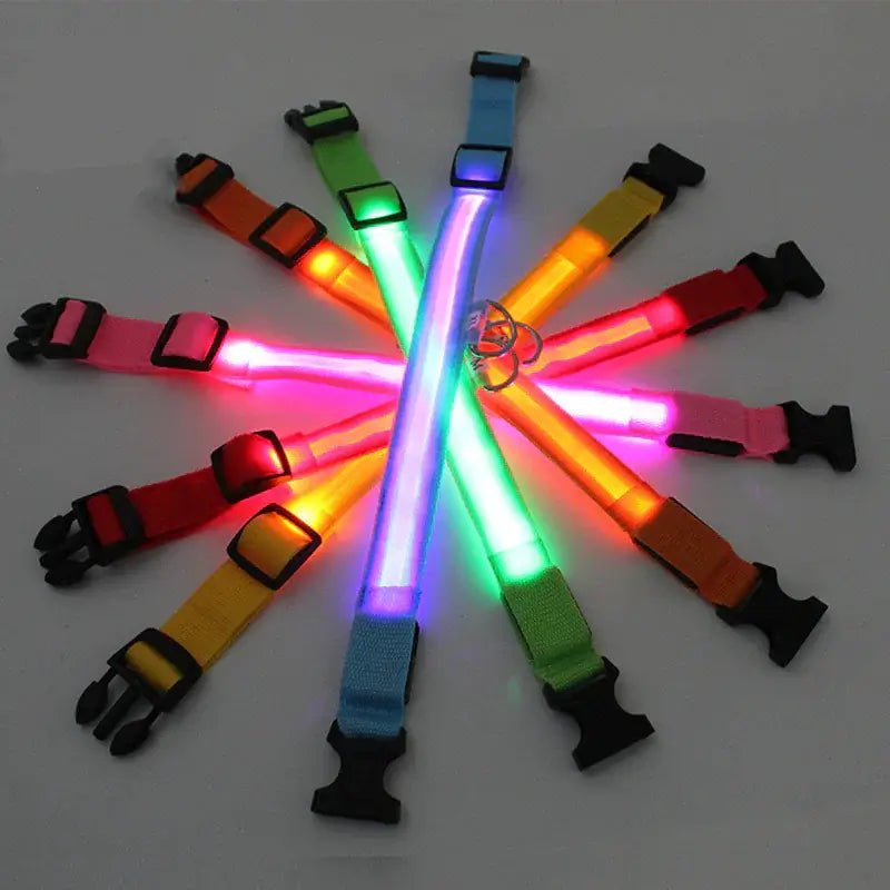 LED Adjustable Dog Collar Blinking Flashing Light Up Glow Pets Safety Waterproof - Skippy Dogs
