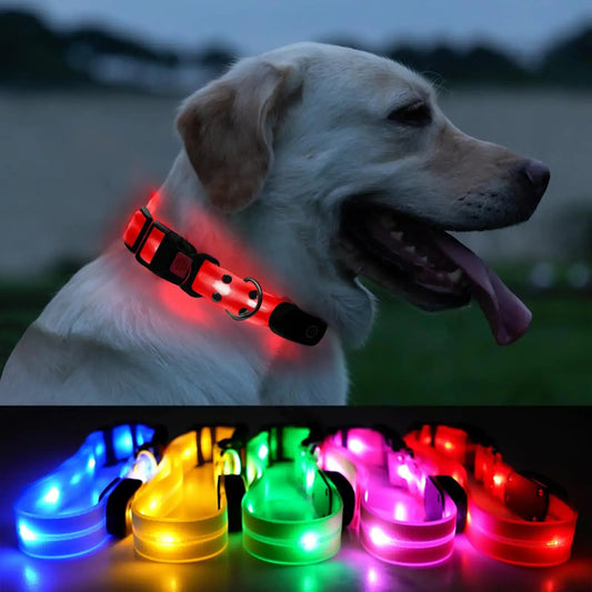 LED Dog Collar – USB Rechargeable, Waterproof & Adjustable.