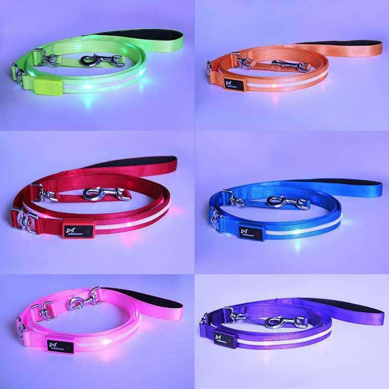 LED Pet Leash: Brighten Your Walks!.