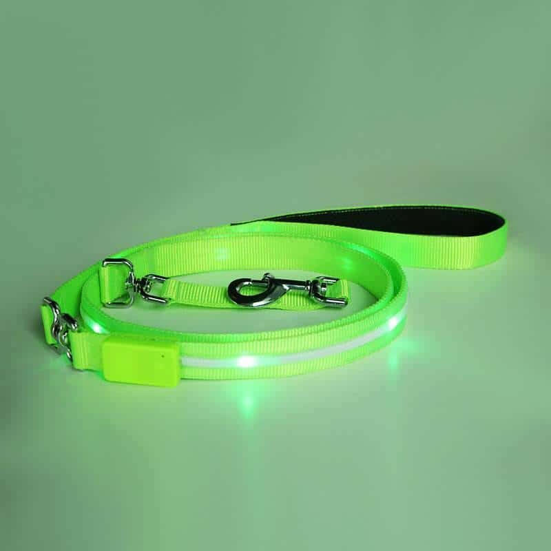 LED Pet Leash: Brighten Your Walks!.
