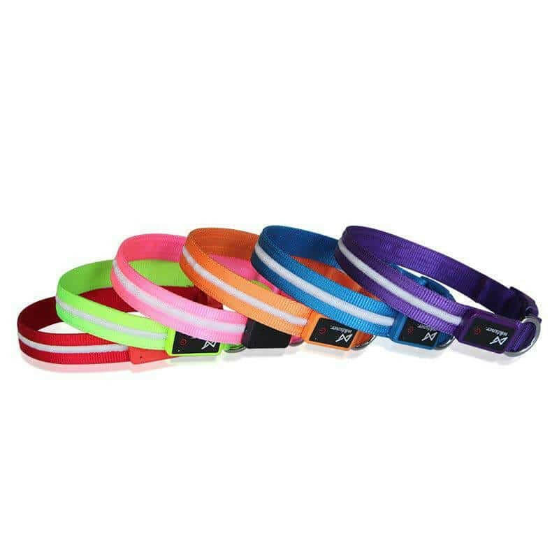 LED Pet Leash: Brighten Your Walks!.