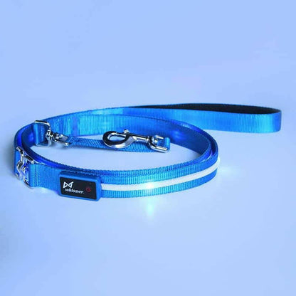 LED Pet Leash: Brighten Your Walks!.