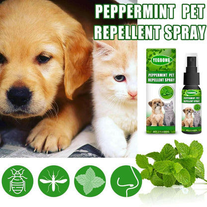 Mint Pet Dog Acarus Killing Fungus Dogs And Cats Spray.