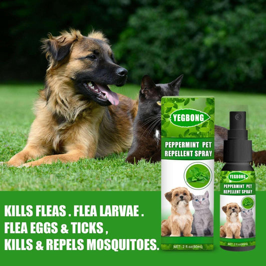 Mint Pet Dog Acarus Killing Fungus Dogs And Cats Spray.