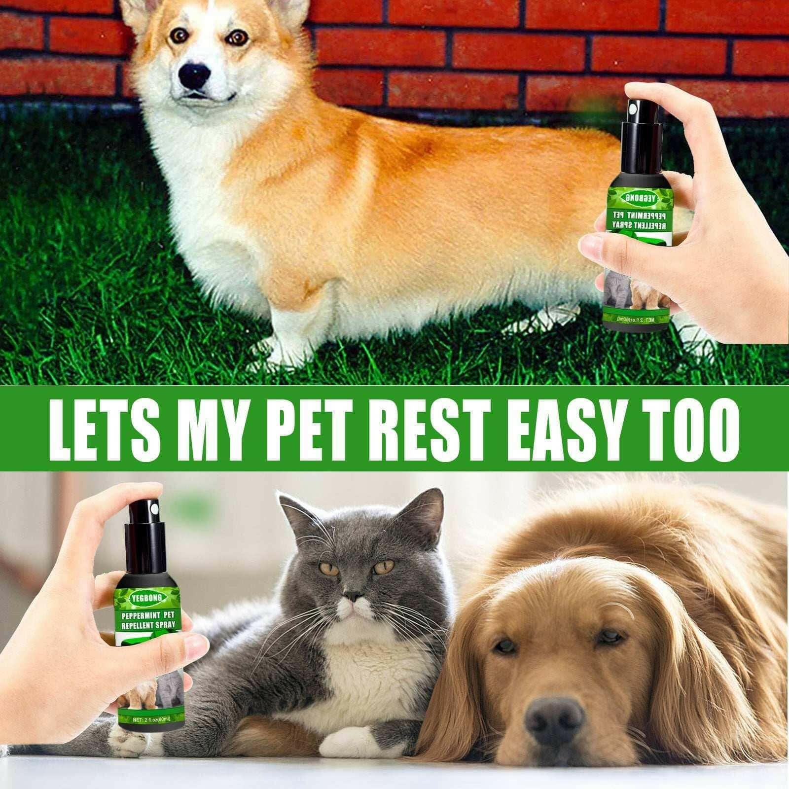 Mint Pet Dog Acarus Killing Fungus Dogs And Cats Spray.