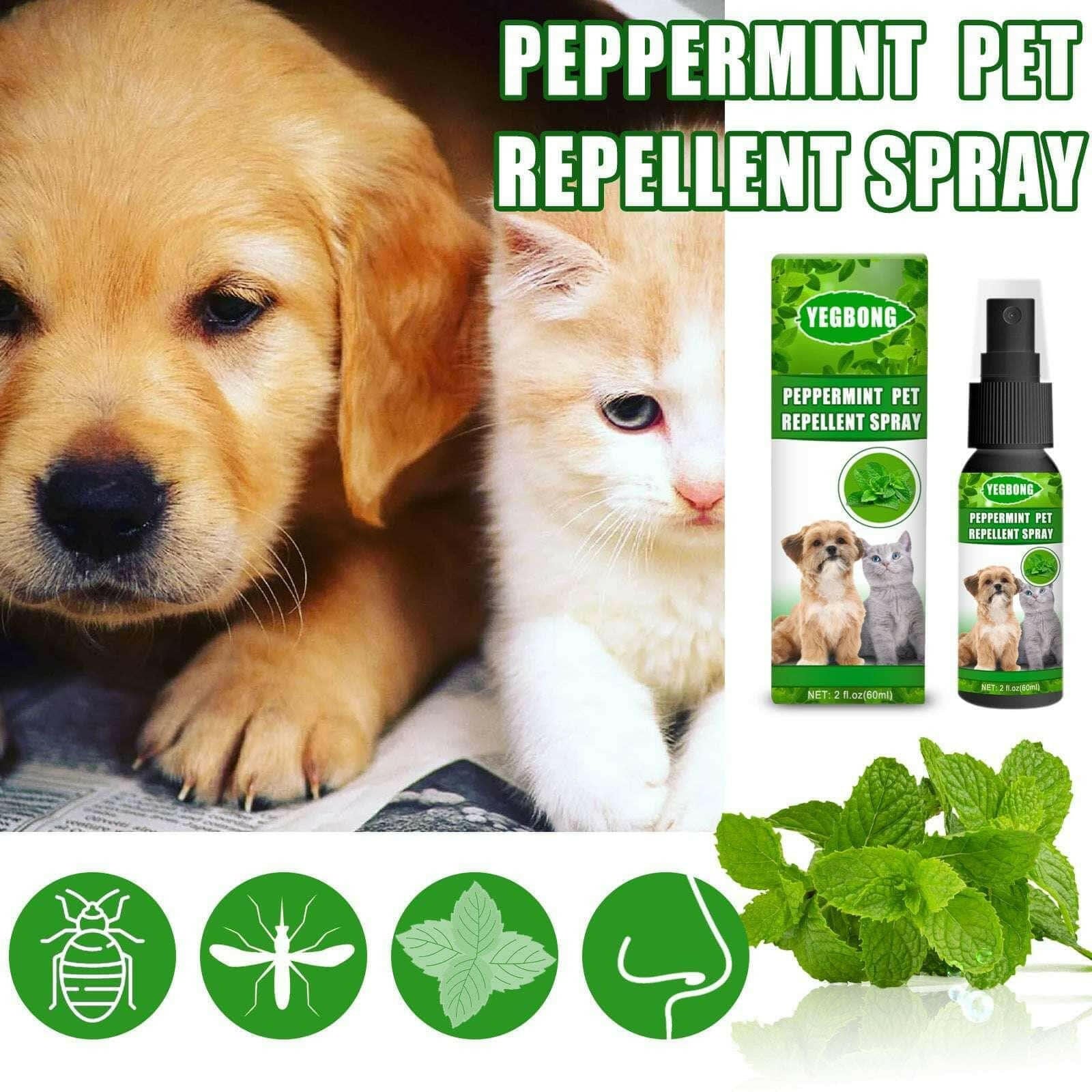 Mint Pet Dog Acarus Killing Fungus Dogs And Cats Spray.