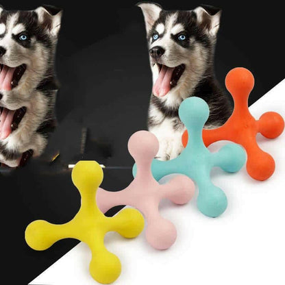 Molar dog toy pet supplies.