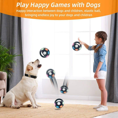 New Football Tennis Ball Shaped Pet Dog Toys, Durable Teething Relief To Accompany Outdoor Training Squeak Toys - Skippy Dogs