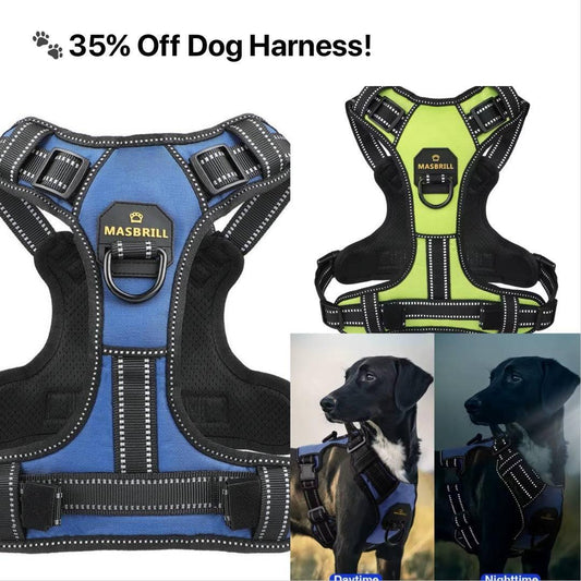 No - Pull 4 - In - 1 Dog Harness - Skippy Dogs