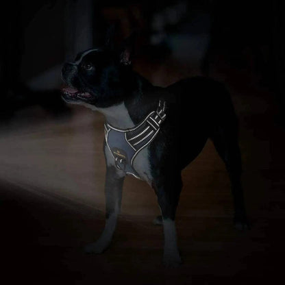 No - Pull 4 - In - 1 Dog Harness - Skippy Dogs