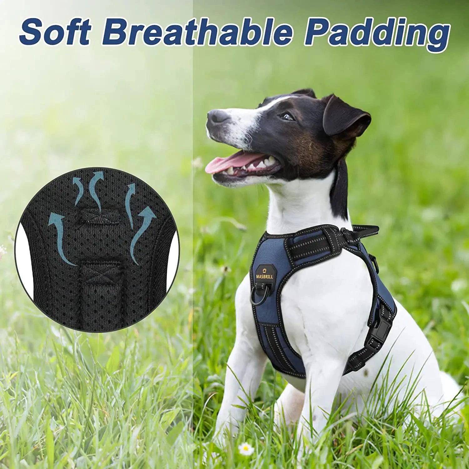 No - Pull 4 - In - 1 Dog Harness - Skippy Dogs