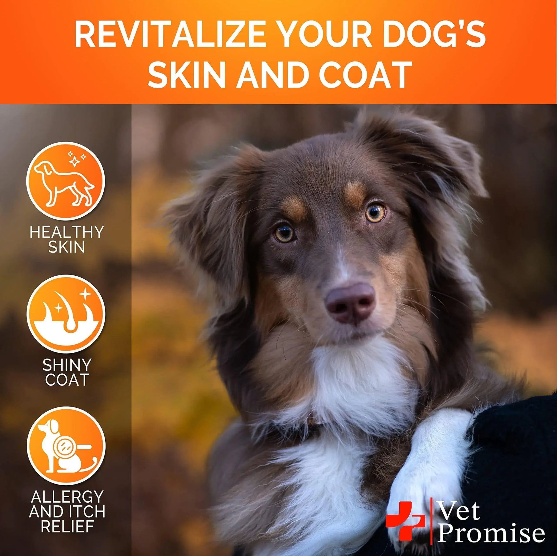 Omega 3 for Dogs Dog Skin and Coat Supplement Fish Oil.