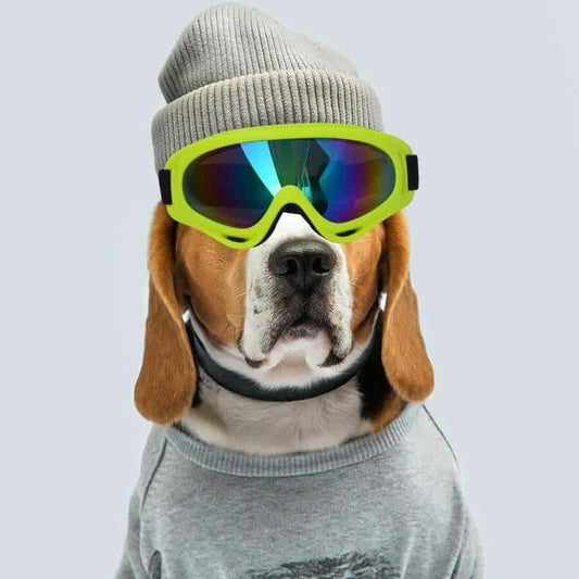 Outdoor Dog Sunglasses Decoration Fashion Matching.