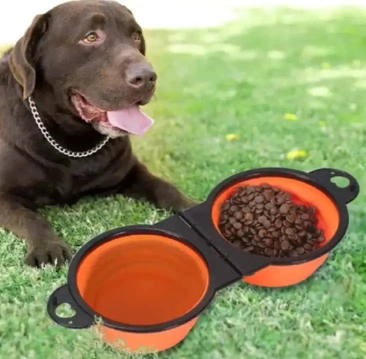 Outdoor Pet Feeder.