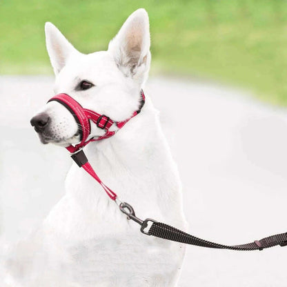 Pet Dog Muzzle With Soft Padding.