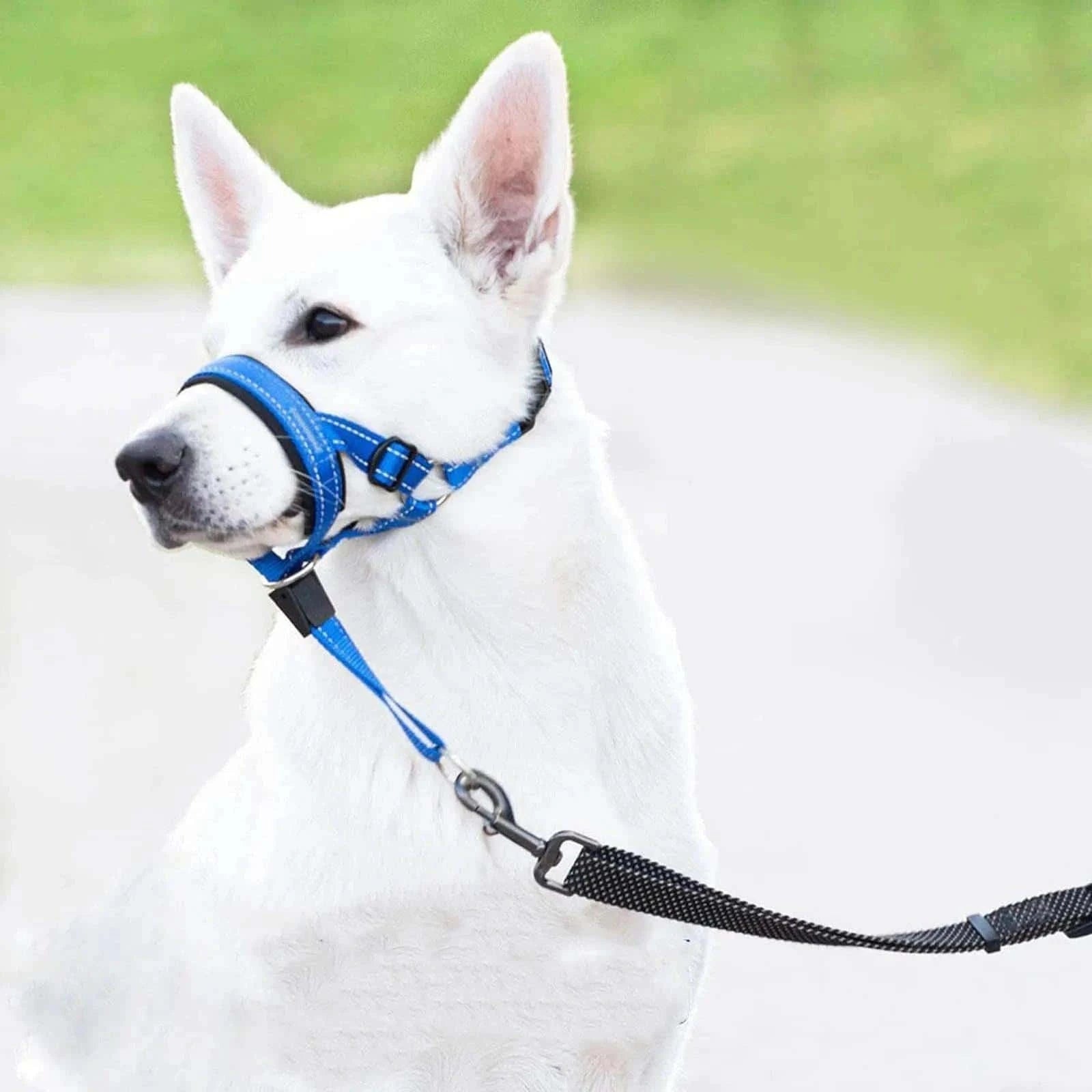 Pet Dog Muzzle With Soft Padding.