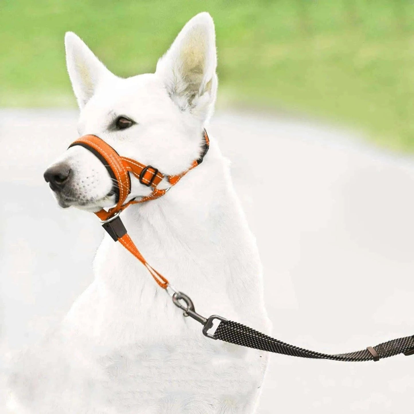 Pet Dog Muzzle With Soft Padding.
