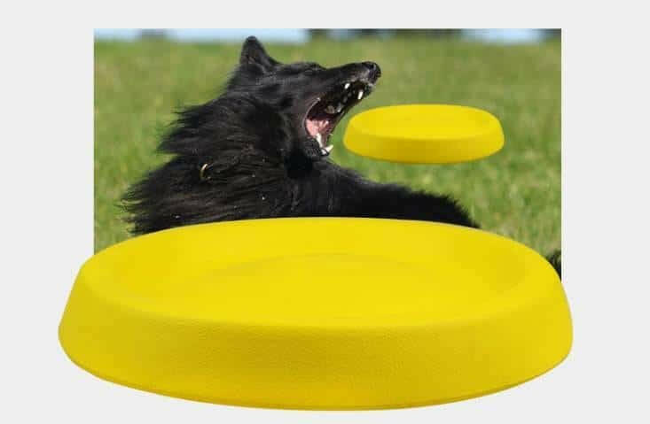 Pet Dogs Throwing Plastic Toys.