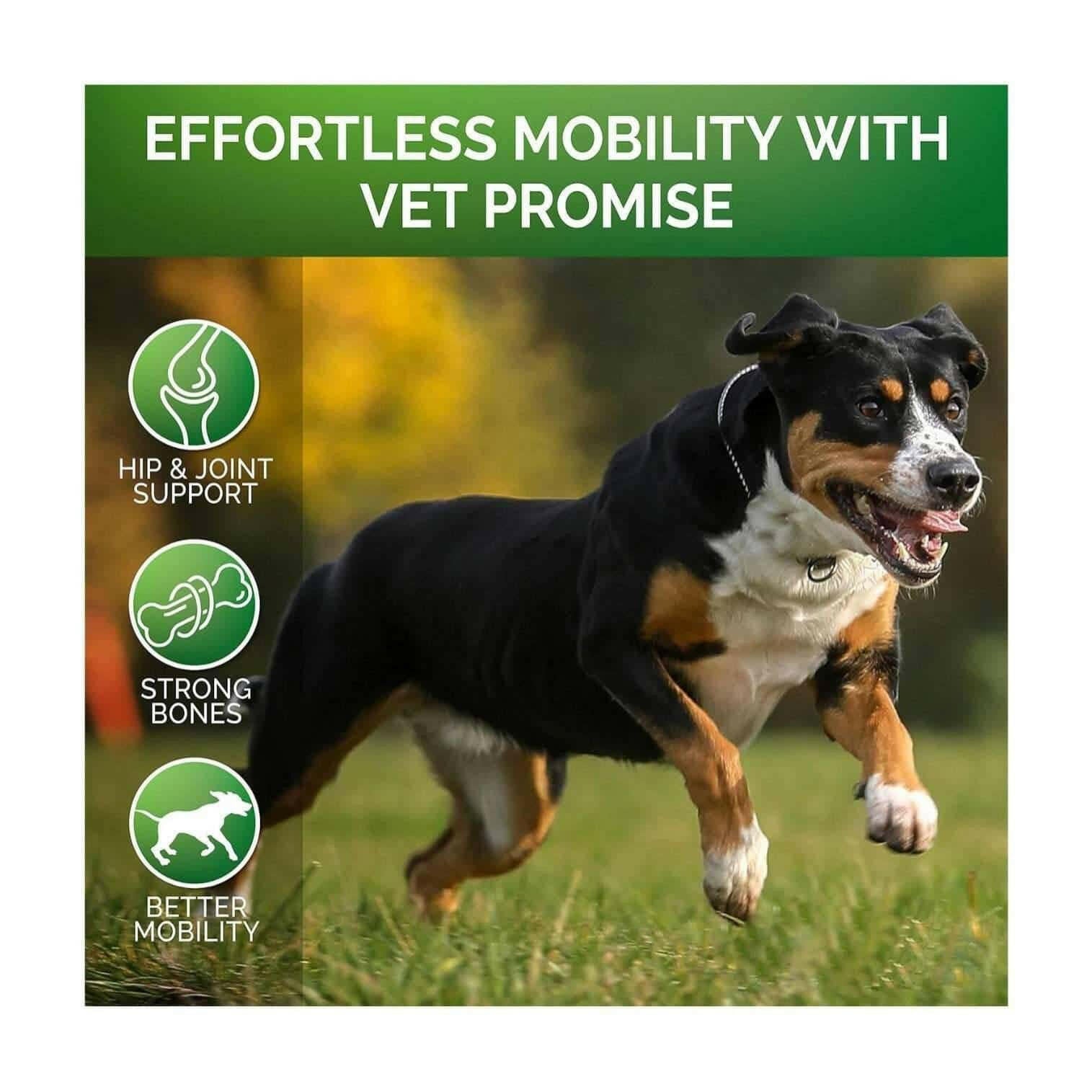 Pet Hip & Joint Supplement Chondroitin.