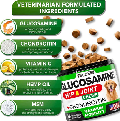 Pet Hip & Joint Supplement Chondroitin.