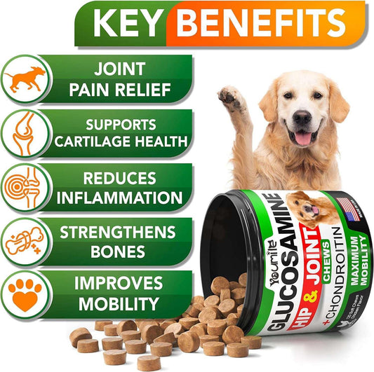 Pet Hip & Joint Supplement Chondroitin - Skippy Dogs
