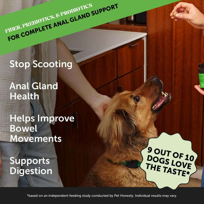 Pet Digestion & Health Supplement for Dogs.