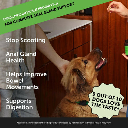 Pet Digestion & Health Supplement for Dogs.