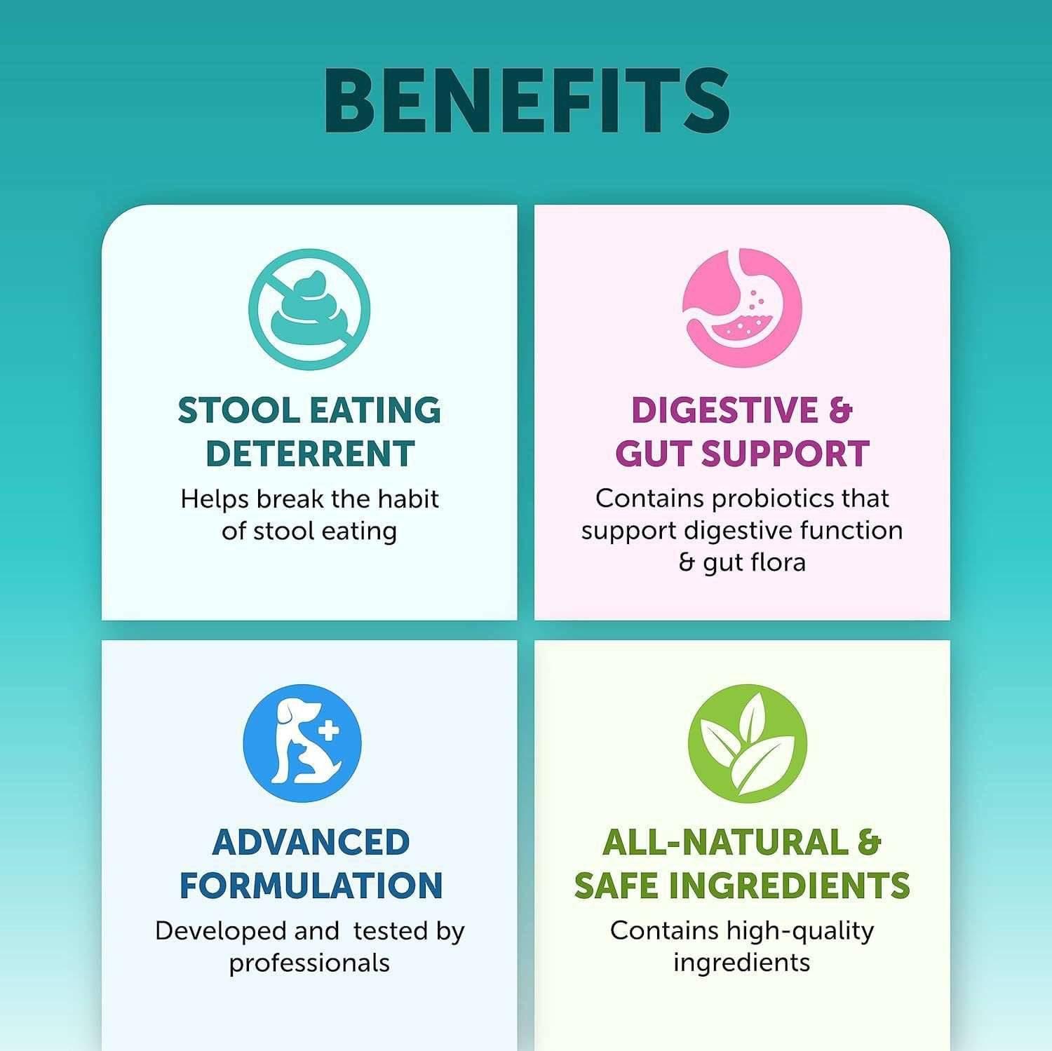 Pet Intestinal Probiotic Chewable Tablets - Skippy Dogs