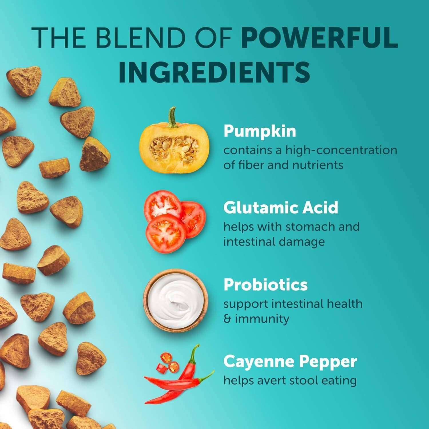 Pet Intestinal Probiotic Chewable Tablets - Skippy Dogs
