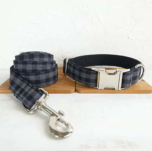 Pet Leash Training for Dogs.