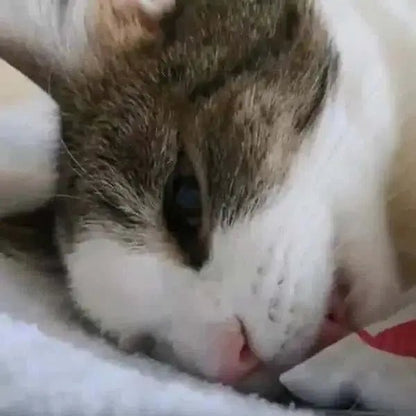Pet Massager.