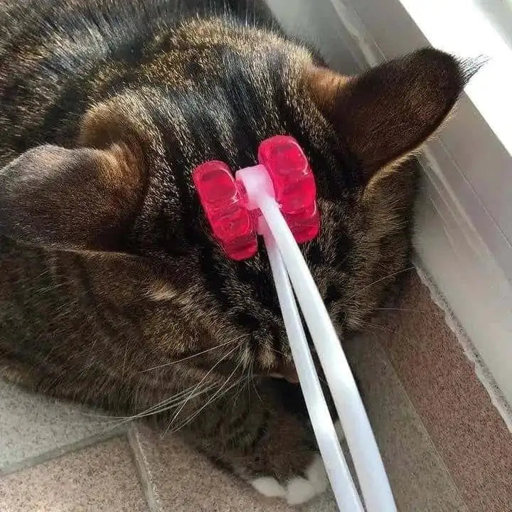 Pet Massager.