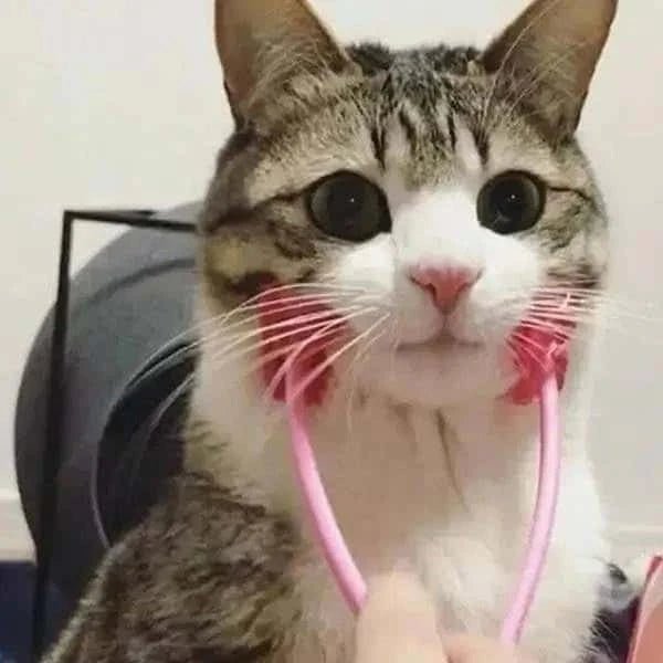 Pet Massager.