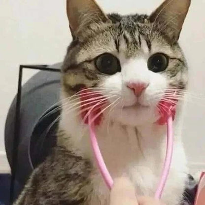 Pet Massager.