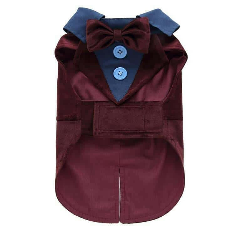 Pet Supplies Clothing Dog Dress Tuxedo.
